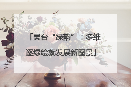 灵台“绿韵”：多维逐绿绘就发展新图景