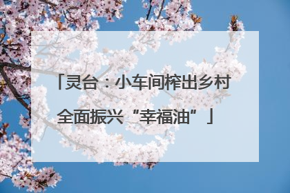 灵台：小车间榨出乡村全面振兴“幸福油”