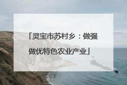 灵宝市苏村乡：做强做优特色农业产业