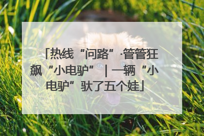 热线“问路”·管管狂飙“小电驴”｜一辆“小电驴”驮了五个娃