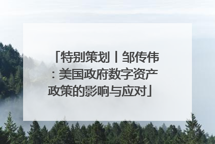 特别策划丨邹传伟：美国政府数字资产政策的影响与应对