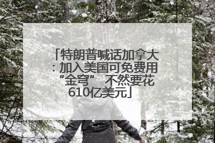 特朗普喊话加拿大：加入美国可免费用“金穹” 不然要花610亿美元