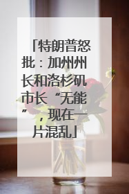 特朗普怒批：加州州长和洛杉矶市长“无能”，现在一片混乱