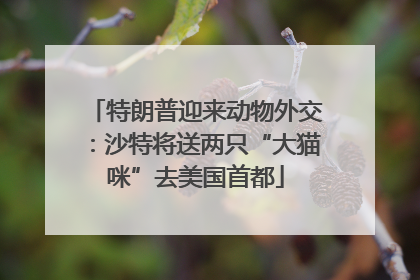 特朗普迎来动物外交：沙特将送两只“大猫咪”去美国首都