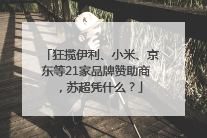狂揽伊利、小米、京东等21家品牌赞助商，苏超凭什么？