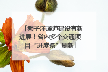 狮子洋通道建设有新进展！省内多个交通项目“进度条”刷新