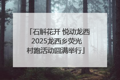 石斛花开 悦动龙西 2025龙西乡荧光村跑活动圆满举行