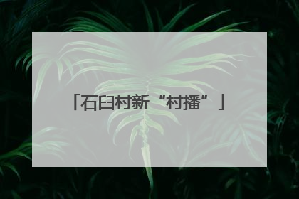 石臼村新“村播”