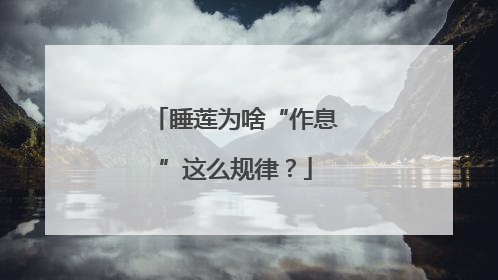 睡莲为啥“作息”这么规律？