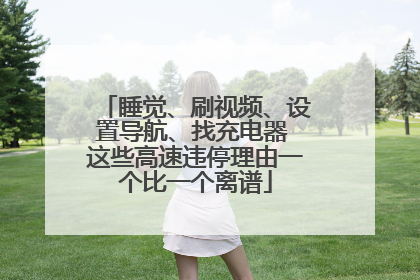 睡觉、刷视频、设置导航、找充电器 这些高速违停理由一个比一个离谱