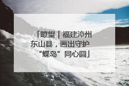 瞭望｜福建漳州东山县，画出守护“蝶岛”同心圆