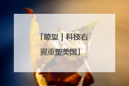 瞭望｜科技右翼重塑美国
