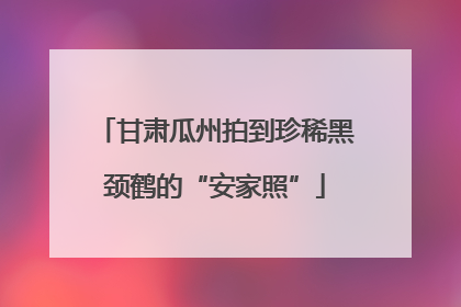 甘肃瓜州拍到珍稀黑颈鹤的“安家照”