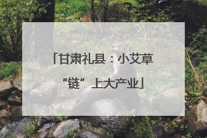 甘肃礼县：小艾草“链”上大产业