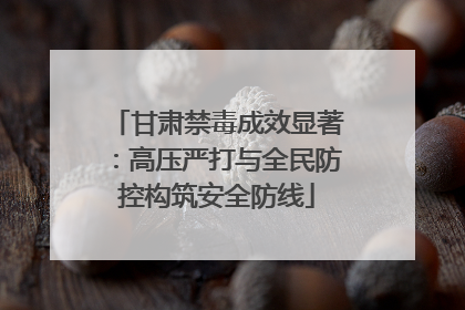 甘肃禁毒成效显著：高压严打与全民防控构筑安全防线