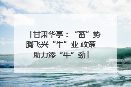 甘肃华亭：“畜”势腾飞兴“牛”业 政策助力添“牛”劲