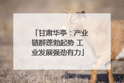 甘肃华亭：产业链群蓬勃起势 工业发展强劲有力