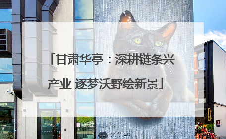 甘肃华亭：深耕链条兴产业 逐梦沃野绘新景