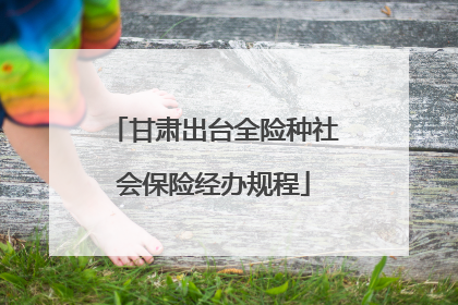 甘肃出台全险种社会保险经办规程
