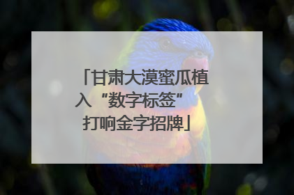 甘肃大漠蜜瓜植入“数字标签” 打响金字招牌