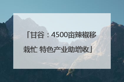 甘谷：4500亩辣椒移栽忙 特色产业助增收