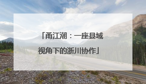 甬江潮：一座县域视角下的浙川协作