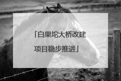 白果坨大桥改建项目稳步推进