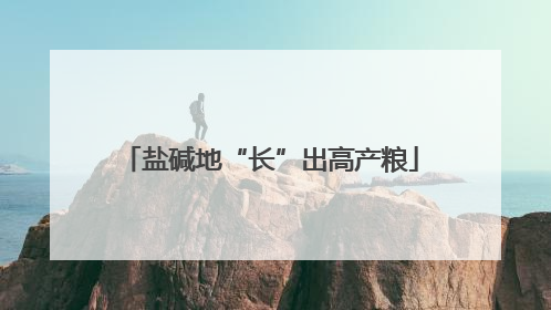 盐碱地“长”出高产粮