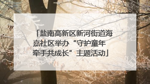 盐南高新区新河街道海嘉社区举办“守护童年 牵手共成长”主题活动