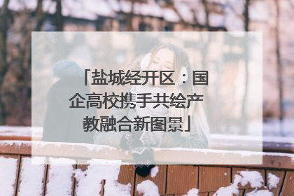 盐城经开区：国企高校携手共绘产教融合新图景