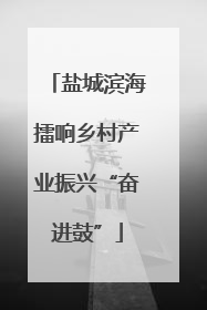 盐城滨海擂响乡村产业振兴“奋进鼓”