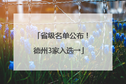 省级名单公布！德州3家入选→