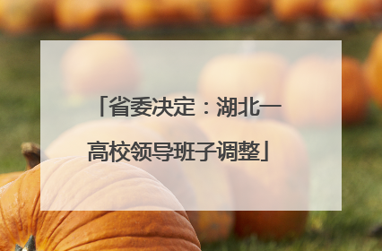 省委决定：湖北一高校领导班子调整