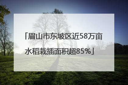 眉山市东坡区近58万亩水稻栽插面积超85%