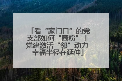 看“家门口”的党支部如何“圈粉”丨党建激活“邻”动力 幸福半径在延伸