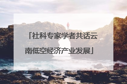 社科专家学者共话云南低空经济产业发展