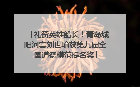 礼赞英雄船长！青岛城阳河套刘世瑜获第九届全国道德模范提名奖