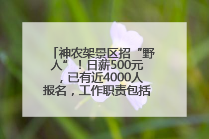 神农架景区招“野人”！日薪500元，已有近4000人报名，工作职责包括“接受游客投喂”