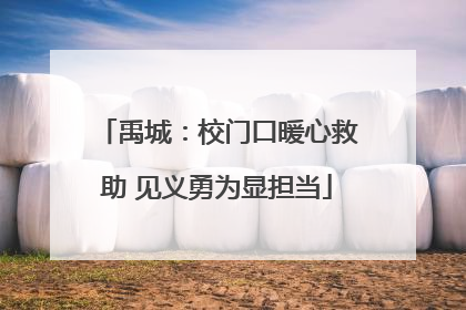 禹城：校门口暖心救助 见义勇为显担当