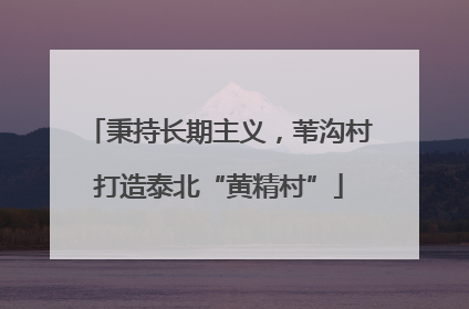 秉持长期主义，苇沟村打造泰北“黄精村”