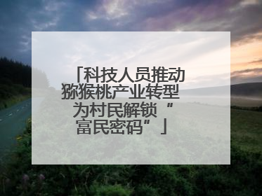科技人员推动猕猴桃产业转型 为村民解锁“富民密码”