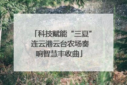科技赋能“三夏” 连云港云台农场奏响智慧丰收曲