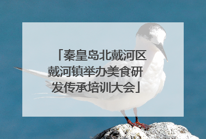 秦皇岛北戴河区戴河镇举办美食研发传承培训大会