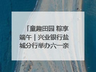 童趣田园 粽享端午｜兴业银行盐城分行举办六一亲子嘉年华活动