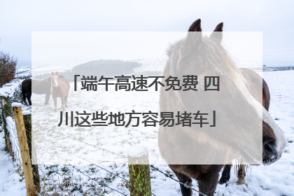 端午高速不免费 四川这些地方容易堵车