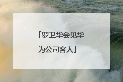 罗卫华会见华为公司客人