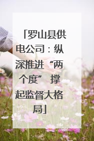 罗山县供电公司：纵深推进“两个度” 撑起监督大格局