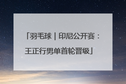 羽毛球｜印尼公开赛：王正行男单首轮晋级