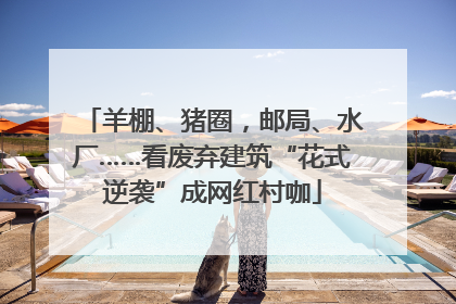 羊棚、猪圈，邮局、水厂……看废弃建筑“花式逆袭”成网红村咖