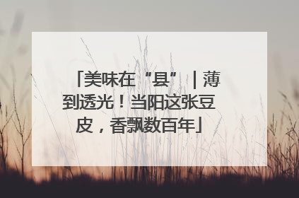 美味在“县”｜薄到透光！当阳这张豆皮，香飘数百年